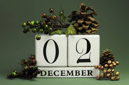 December 2: Save the Date calendar with Winter theme colors, fruit and flowers, for birthdays,...
