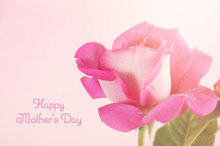 Happy Mothers Day gift of a single pink rose with sample text, and applied retro vintage style filters and added lens flare.の写真素材