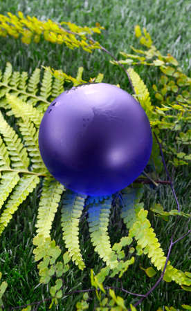 Earth Day, April 22, Concept with blue globe on grass and ferns.