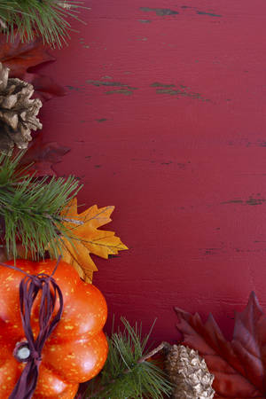 Autumn Fall background for Thanksgiving or Halloween with leaves and decorations on rustic wood table with copy space for your text here.の写真素材