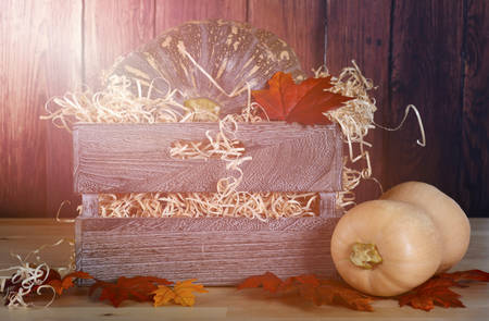 Pumpkins in wooden crate in old barn setting with applied filters and added lens flare.の写真素材