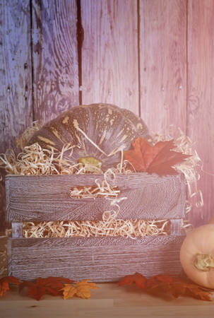 Pumpkins in wooden crate in old barn setting with applied filters and added lens flare.の写真素材