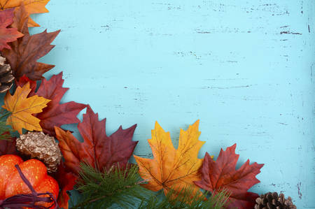 Autumn Fall rustic background on aqua blue vintage distressed wood with autumn leaves and...