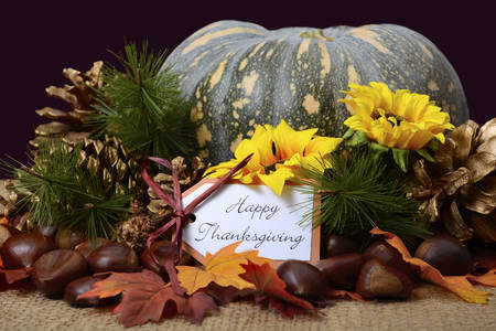 Happy Thanksgiving Pumpkin in Rustic Setting on burlap covered table with greeting message.の写真素材