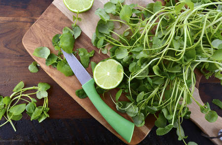 Preparing watercress for healthy salad on dark wood chopping board with paring knife.の写真素材
