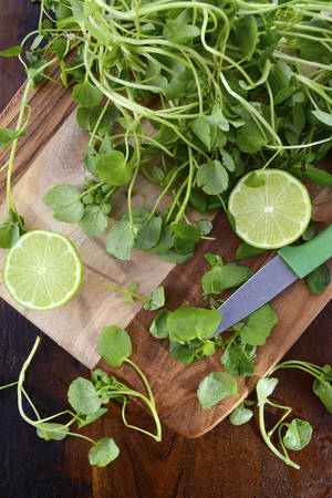 Preparing watercress for healthy salad on dark wood chopping board with paring knife.の写真素材