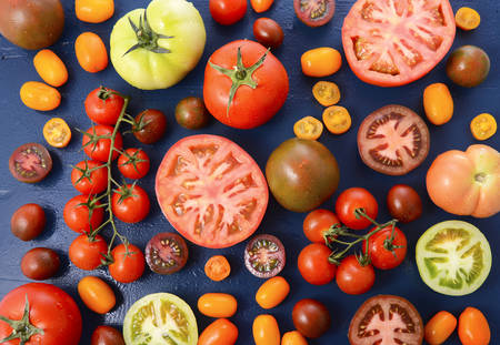 Medley of Tomato Varieties on Blue Wood Background.の写真素材