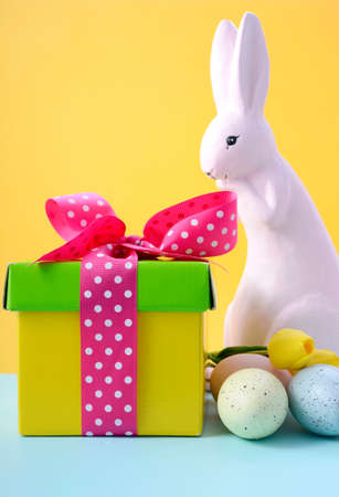 Cute Easter Bunny with bright color gift box on yellow and blue background.