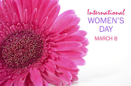 International Womens Day Pink Gerbera closeup on white wood table with sample text.の写真素材