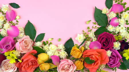 Springtime overhead flat lay display of fresh roses and jonquil buds on pink wood table backgound,...