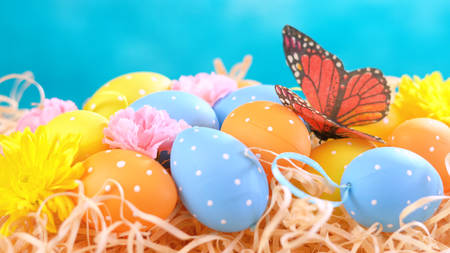 Happy Easter ornaments, eggs and spring flowers on a blue and white background.の写真素材