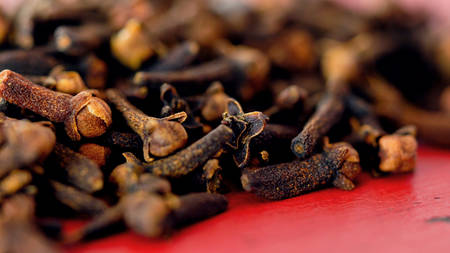 Cloves cooking spices macro closeup. on vintage red wood table, selective focus.の写真素材