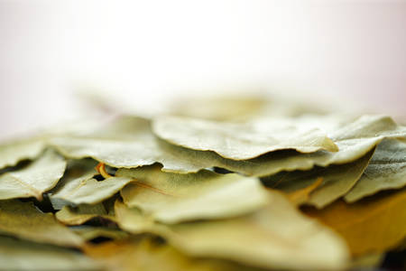 Bay leaves cooking herbs and spices macro closeup. on vintage red wood table, selective focus.の写真素材