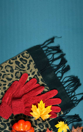 Autumn Fall bright colors theme flat lay overhead on scattered maple leaves background.
