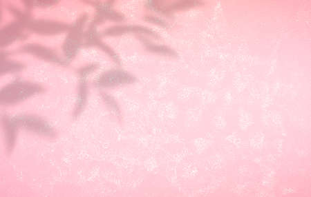 Shadow Photography Background.の写真素材