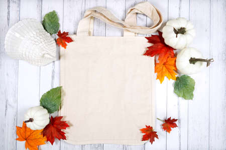 Halloween trick or treat product mockup with autumn leaves and white pumpkins.の写真素材