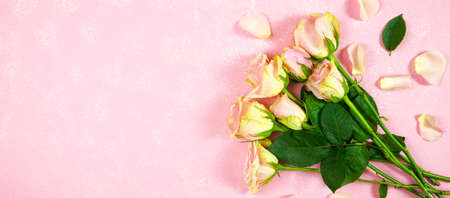 Mother s Day Valentine wedding product mockup styled with blush pink roses.の写真素材