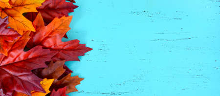 Autumn Fall Rustic Wood Background Banner.