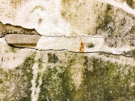 Cracked concrete wall covered