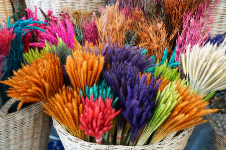 Colorful dried grass in the basketの写真素材