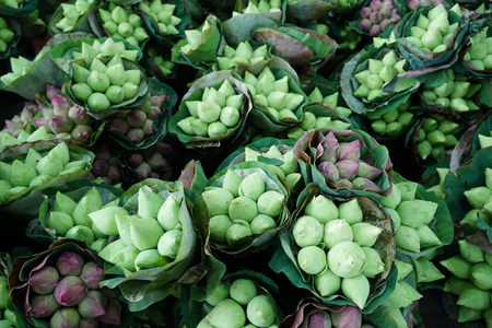 Variety of Lotus flower bouquet for sale in the flower marketの写真素材