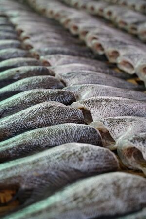 A lot of sun dried fishes for sale in the fish market