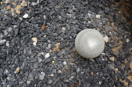 Top view of circle shape whith white hair cactus.の写真素材