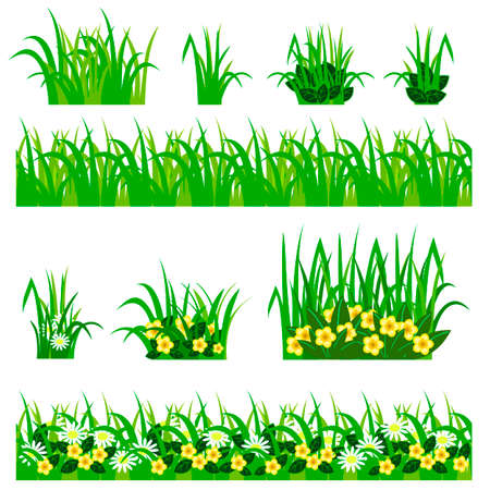 Garden flowers set. Chamomiles, yellow flowers, green leaves, grass compositions, can be used as elements for scenes and landscape backgrounds creating. Vector illustration, isolated on white backgroundのイラスト素材