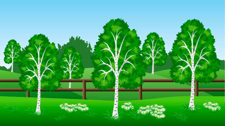 Summer landscape background. Scene with birch trees, hills, grass. and chamomiles.  Horizontally seamless, can be used in game asset. Vector illustrationのイラスト素材