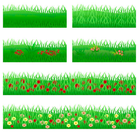 Set of garden flowers in grass. Flowers, green leaves, grass compositions, can be used as elements for scenes and landscape backgrounds creating. Vector illustration,のイラスト素材