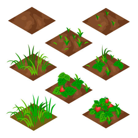 Garden or farm isometric tile set. Isolated tiles with grass and strawberry fruits .. Vector illustration, can be used as a farm game asset  to create landscape or garden scene.のイラスト素材