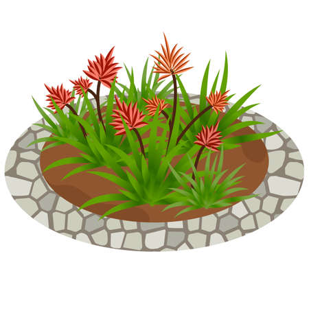 Tropical garden flowers for garden scene or landscape. Vector illustrationのイラスト素材