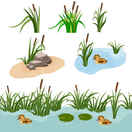 Set of landscape elements to create garden or forest scene for game asset or cartoon. Vector illustration, isolated elements.のイラスト素材