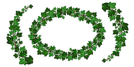 Green ivy wreath and swirl branches. Decorative frame and borders with ivy leaves texture. Isolated on white background. Vector illustrationのイラスト素材