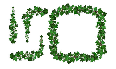 Ivy leaves decorative borders and frame. Floral pattern. Green ivy wreath and curled swirl climber branches. Vector illustrationのイラスト素材