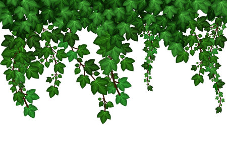 Ivy leaves texture, natural plant wall. Summer green foliage on white background. repeat pattern Vector illustrationのイラスト素材