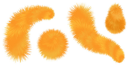 Furry fox brush, orange pompoms and balls. Fluffy fur texture. Set of isolated elements on white background. Vector illustrationのイラスト素材