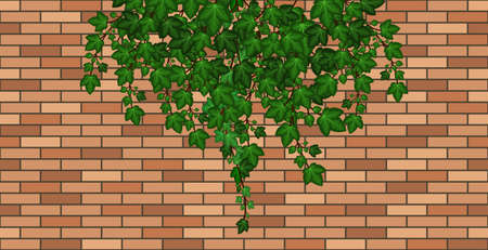Brick wall with ivy leaves falling. Green ivy foliage on brown brick, house wall or fence. Cartoon background pattern. Vector illustrationのイラスト素材
