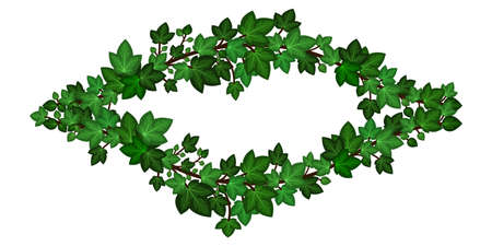 Green ivy wreath. Summer ivy climbing leaves branches, decorative frame border. Isolated on white background. Vector illustration.のイラスト素材