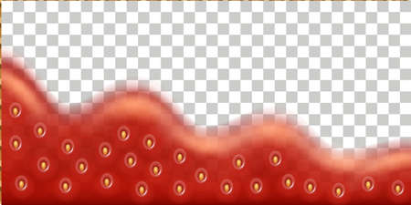 Strawberry jam drip splash, liquid syrup texture. Red strawberry jelly flow isolated on transparent background. Vector illustrationのイラスト素材