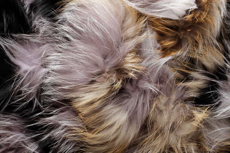 texture of natural fox fur, wallpaper, background, view from above, no people