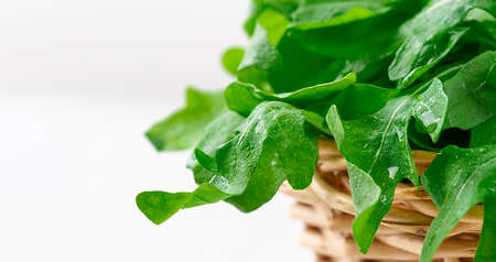 food Fresh arugula leaves, in a basket, on a white table, macro, horizontal, no people ,. High...