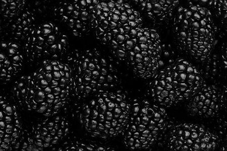 Background fresh  berry, top view, horizontal, macro, no people,の写真素材