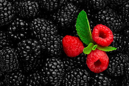 Food Background fresh blackberry berry with raspberries and mint, top view, horizontal, close up, no...