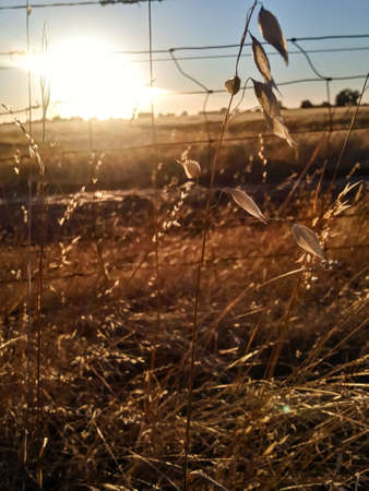 CALIFORNIAの写真素材