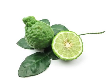 Kaffir lime with leaves on white backgroundの写真素材