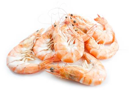 Shrimps with shells on white backgroundの写真素材