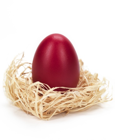red egg in a grass nest isolated on a white backgroundの写真素材