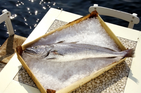 a fresh cod fish in a crate full of iceの写真素材