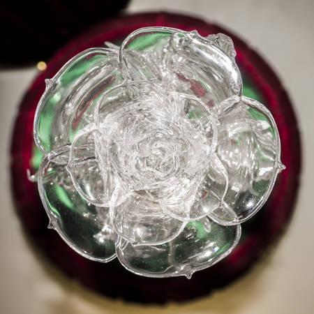 Glassの写真素材